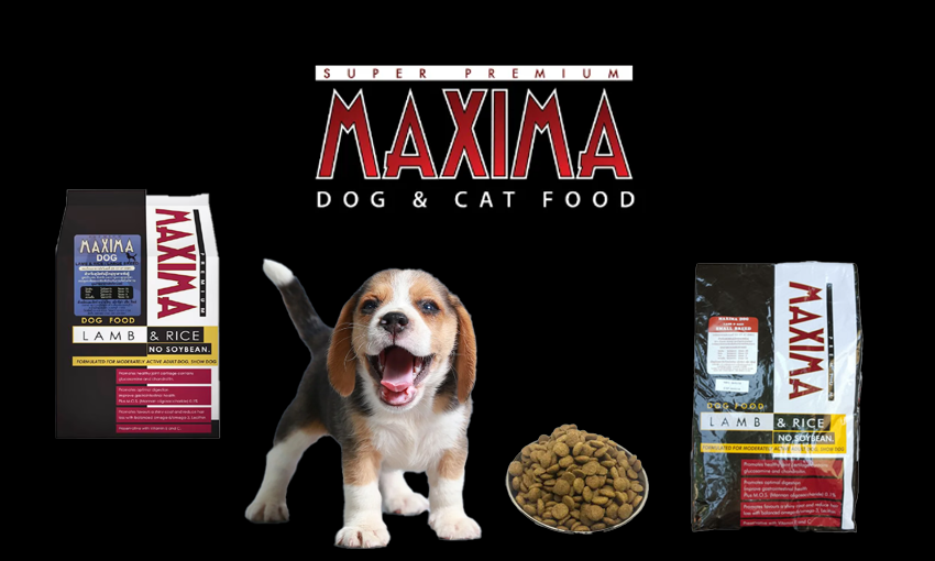 อาหารสุนัขMaxima